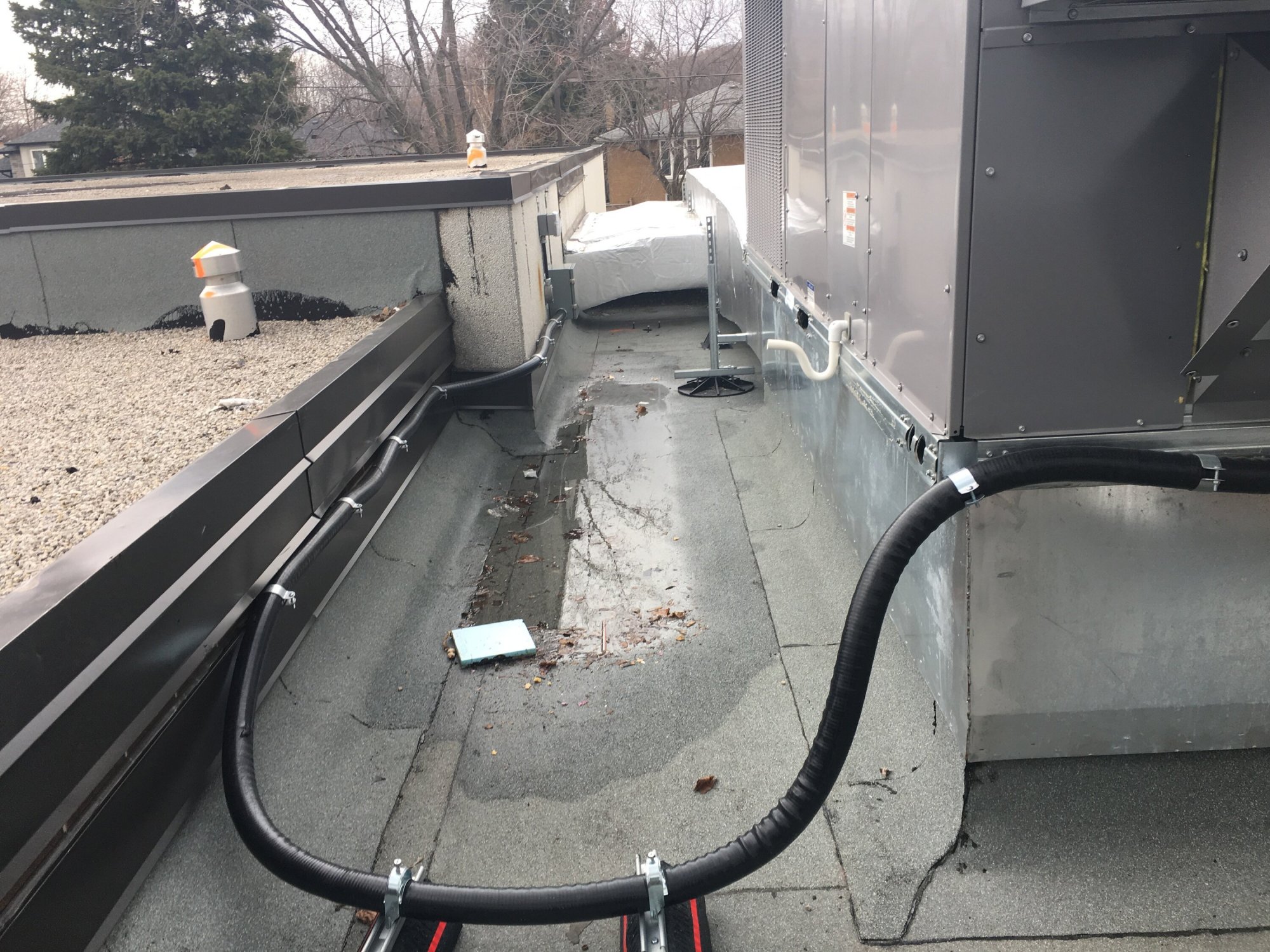 Engineering-project-Beverly Heights MS-Building-Elevation2